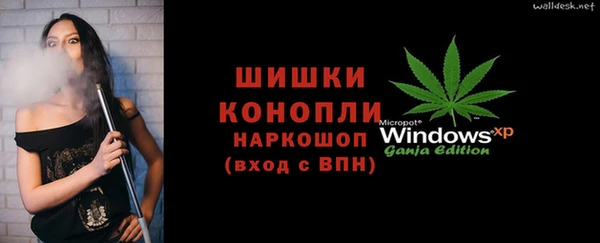 винт Алексин