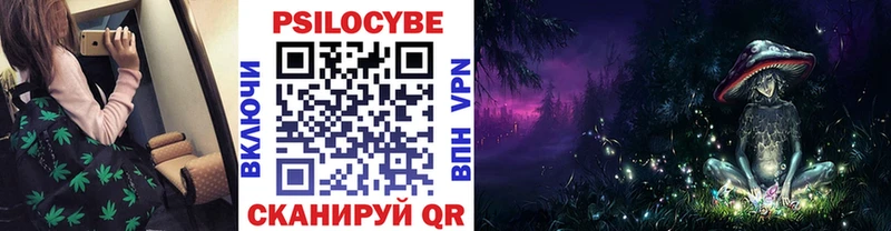 купить наркоту  Гаджиево  площадка официальный сайт  Псилоцибиновые грибы Magic Shrooms 